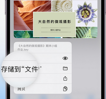 马尾apple维修中心分享iPhone文件应用中存储和找到下载文件