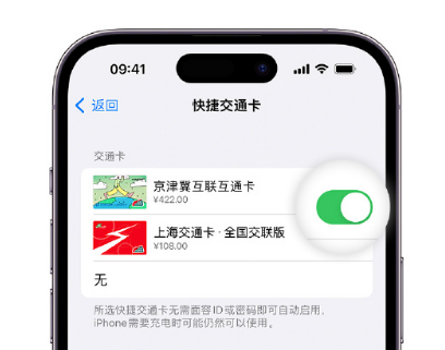 马尾apple维修点分享iPhone上更换Apple Pay快捷交通卡手绘卡面 