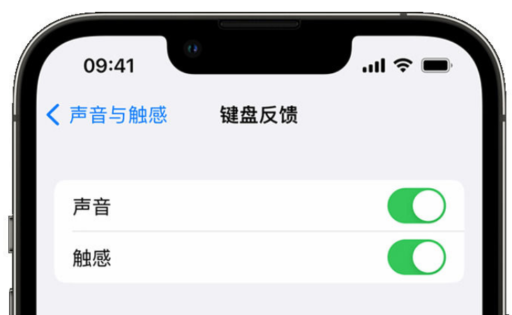 马尾苹果手机维修分享iPhone 14触感键盘使用方法 