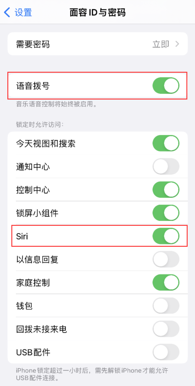 马尾苹果维修网点分享不解锁 iPhone 的情况下通过 Siri 拨打电话的方法 