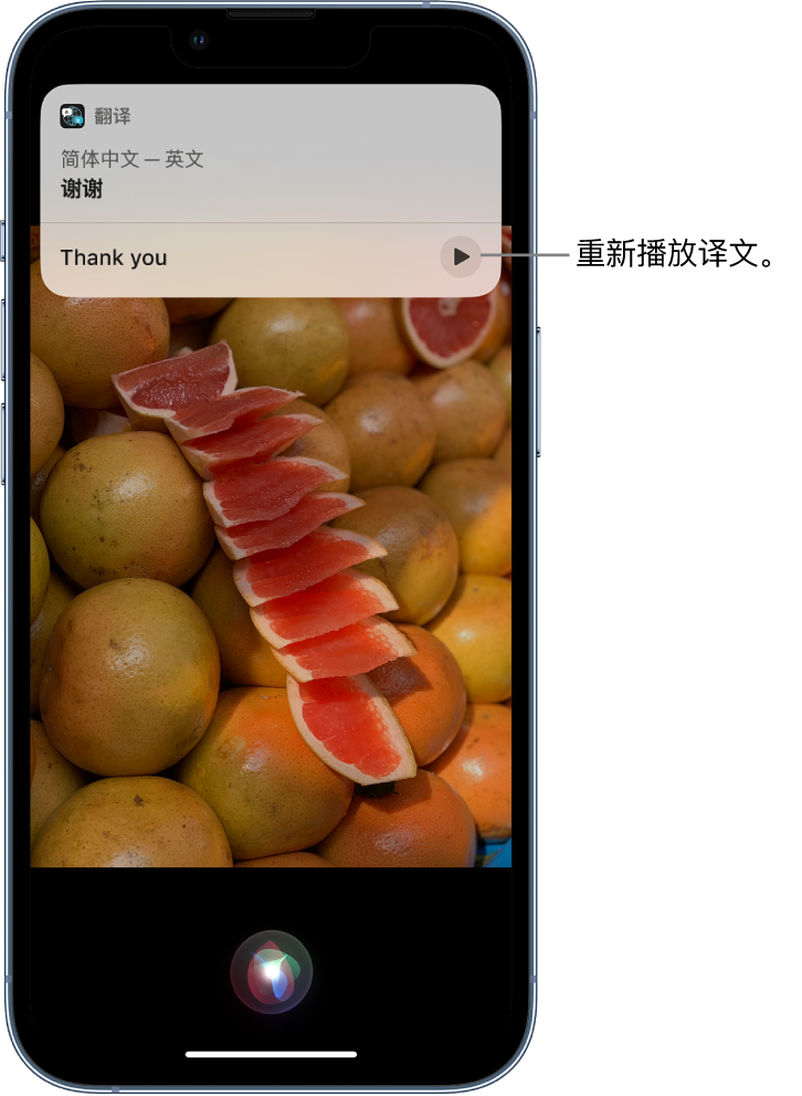 马尾苹果14维修分享 iPhone 14 机型中使用 Siri：了解 Siri 能帮你做什么 