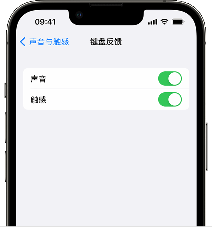 马尾苹果14维修分享iPhone 14 系列机型如何开启键盘声音或触感反馈 