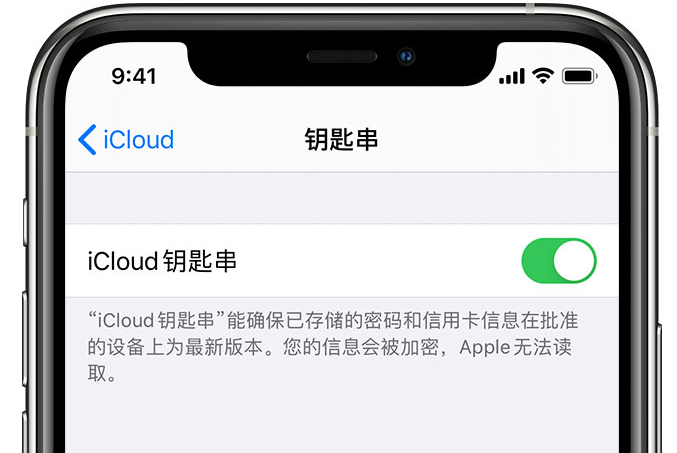 马尾苹果手机维修分享在 iPhone 上开启 iCloud 钥匙串之后会储存哪些信息 