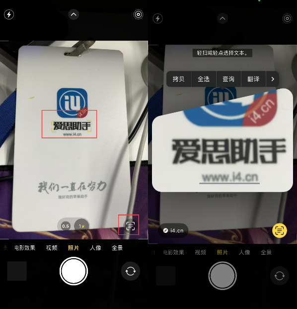 马尾苹果手机维修分享升级iOS 16后如何通过相机翻译文本 