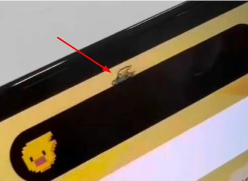 马尾苹果14维修分享iPhone 14 Pro Max灵动岛怎么养宠物 