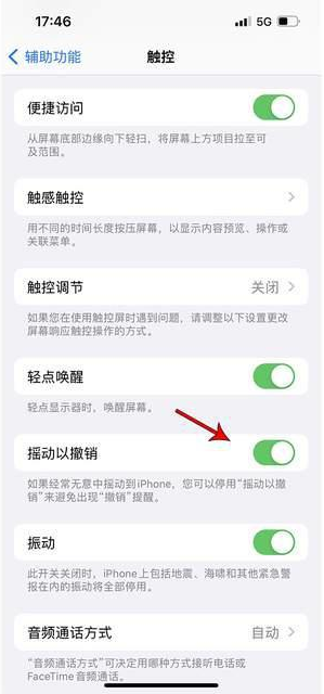 马尾苹果手机维修分享iPhone手机如何设置摇一摇删除文字 