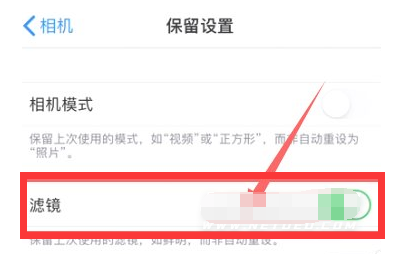 马尾苹果13维修分享iPhone13拍照有绿点是怎么回事 