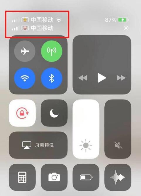 马尾苹果手机维修分享为 iPhone 12 双卡设置标签 